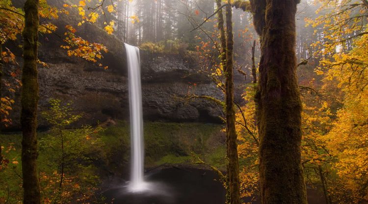 Captivating Nature Photos That Reflect Earth Grace and Wonder