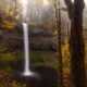 Captivating Nature Photos That Reflect Earth Grace and Wonder