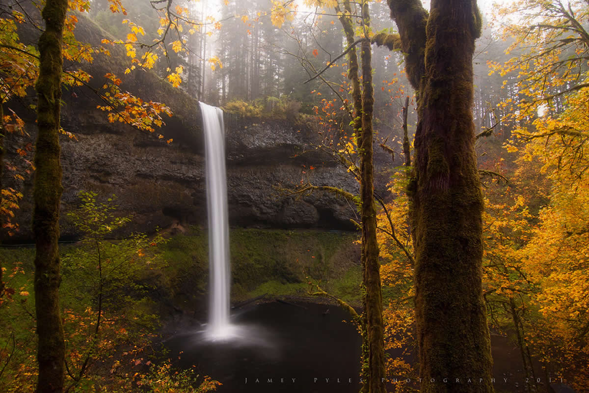 24 Captivating Nature Photos That Reflect Earth’s Grace and Wonder