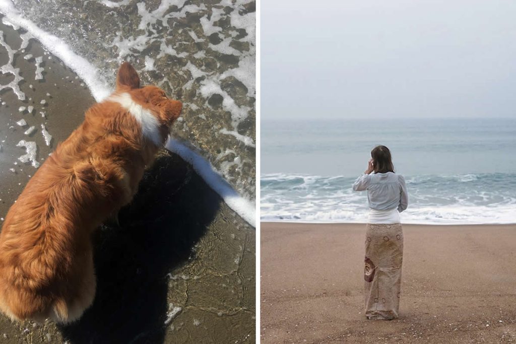 Coincidence Photos That Will Make You Do a Double Take