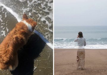 Coincidence Photos That Will Make You Do a Double Take