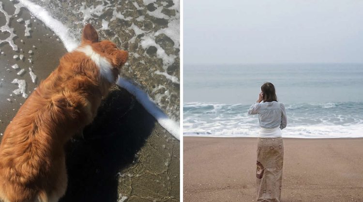 Coincidence Photos That Will Make You Do a Double Take