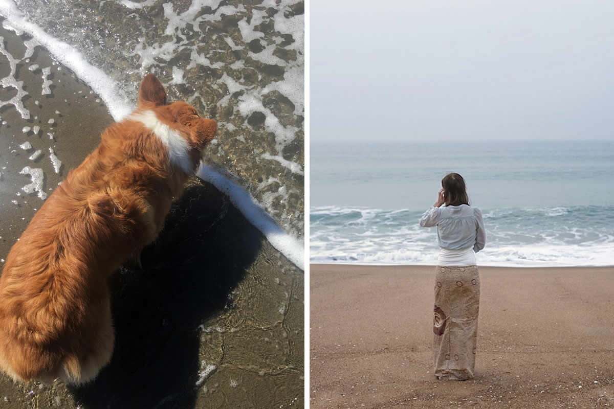 Coincidence Photos That Will Make You Do a Double Take