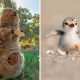 Cute Animal Moments That Instantly Melted Hearts