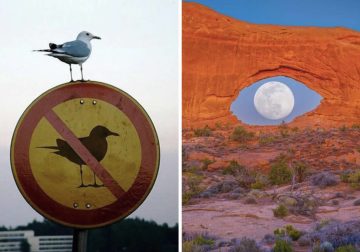 Unusual Photos That Look Like They Belong in a Modern Art Gallery