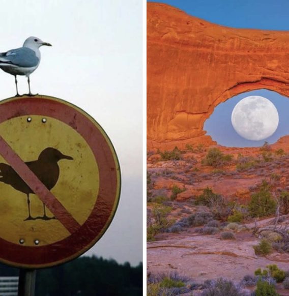 30 Dreamlike Photos That Blur the Boundaries Between Life and Art