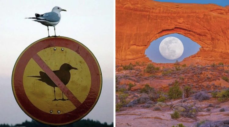 Unusual Photos That Look Like They Belong in a Modern Art Gallery