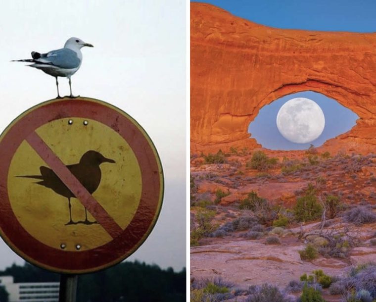 30 Dreamlike Photos That Blur the Boundaries Between Life and Art