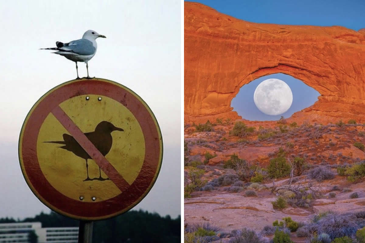 30 Dreamlike Photos That Blur the Boundaries Between Life and Art