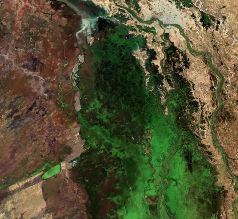 Earth from Space Shared by the European Space Agency
