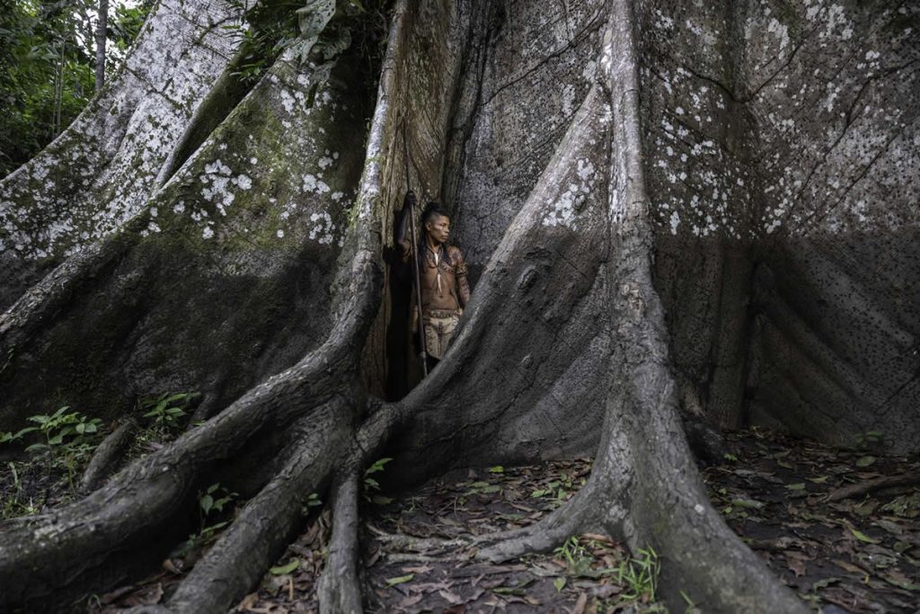 Powerful Winning Photos from the 2025 Earth Photo Awards