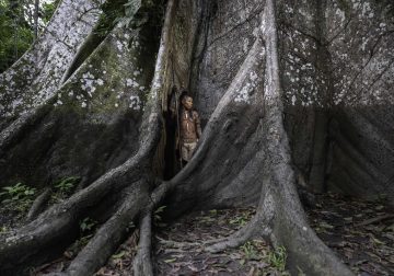 12 Powerful Winning Photos from the 2025 Earth Photo Awards Expose Climate Realities