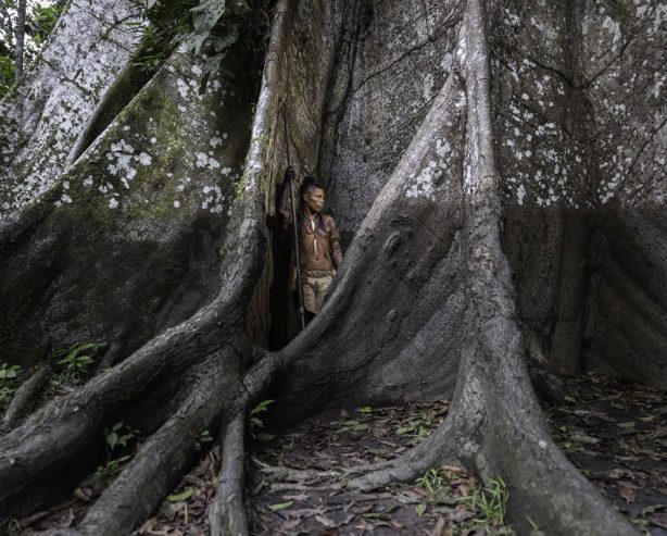 12 Powerful Winning Photos from the 2025 Earth Photo Awards Expose Climate Realities