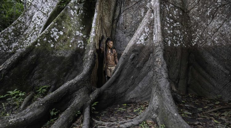 Powerful Winning Photos from the 2025 Earth Photo Awards