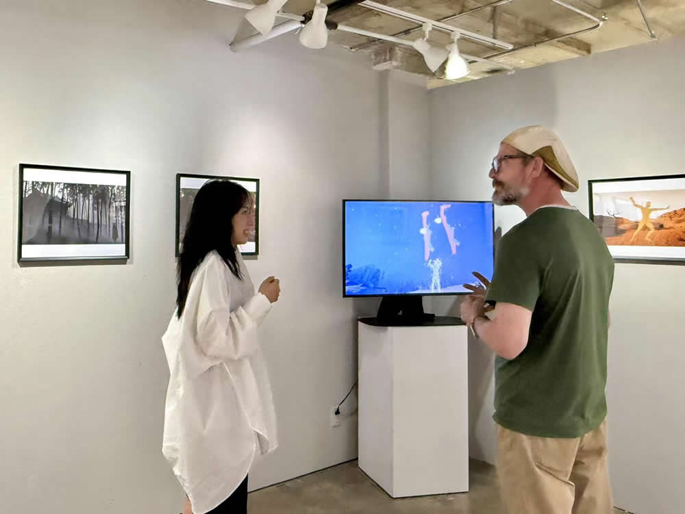 Echoes in Transition at the Sasse Museum of Art