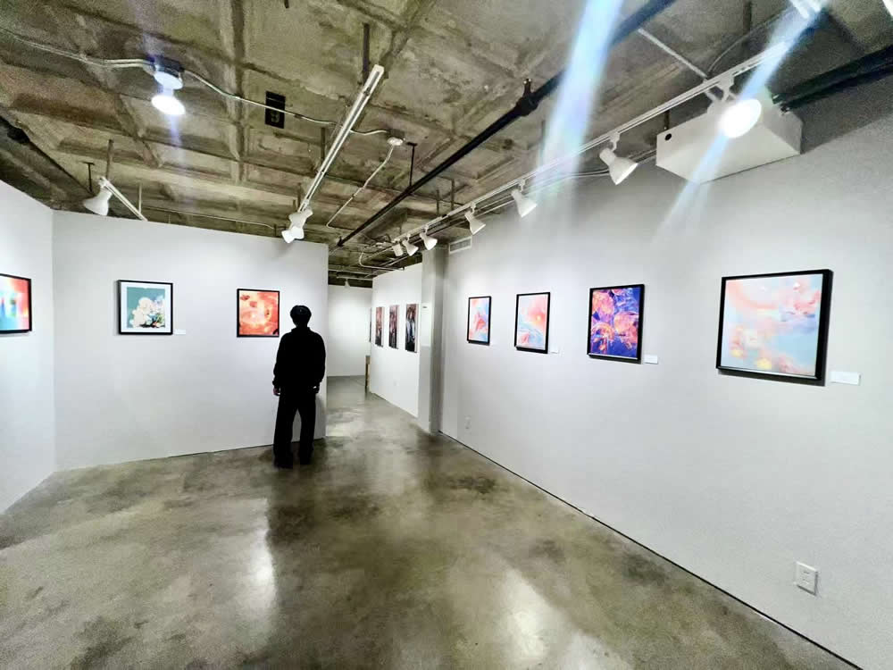 Echoes in Transition at the Sasse Museum of Art