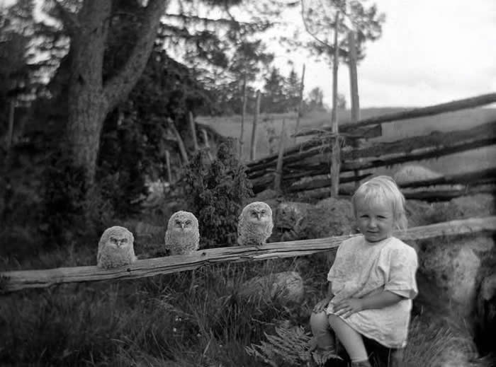 Fascinating Historical Photos That Reveal the Untold Side of the Past