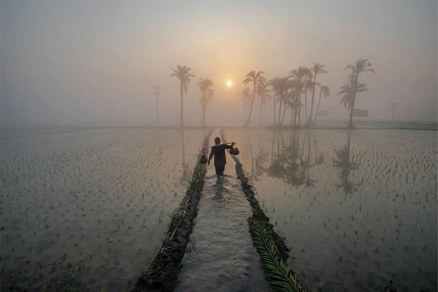 Award-Winning Photos from the 2025 Flow Photo Contest