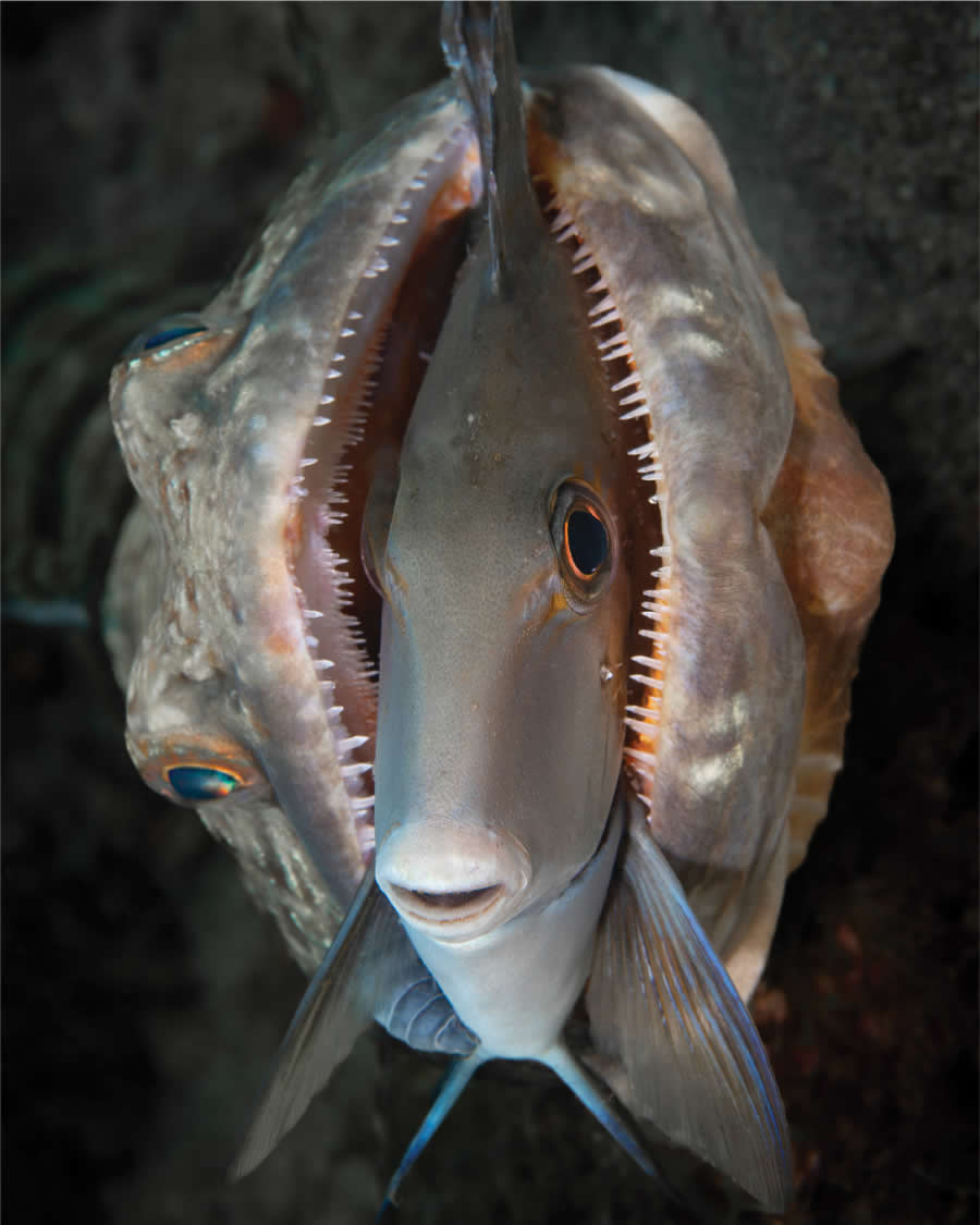 Award-Winning Photos from the 2025 Flow Photo Contest