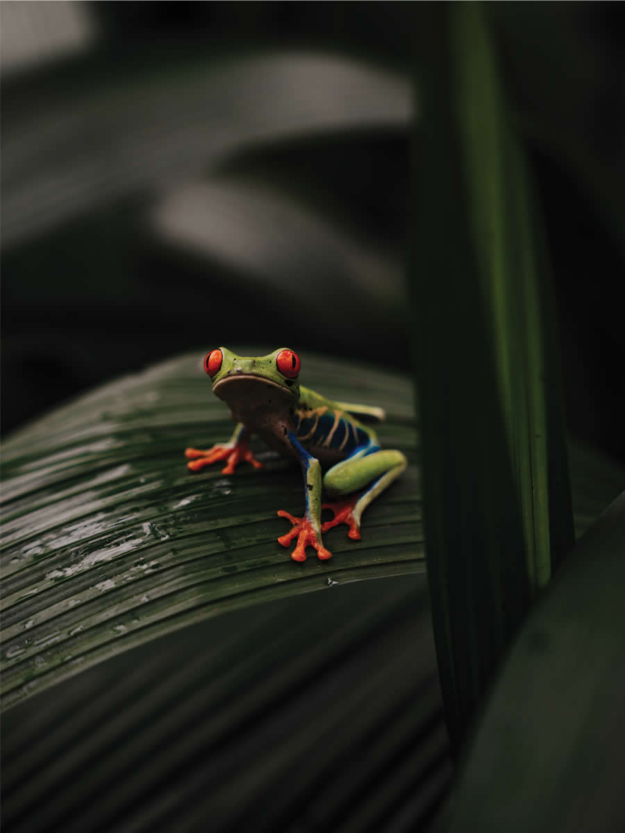 Award-Winning Photos from the 2025 Flow Photo Contest