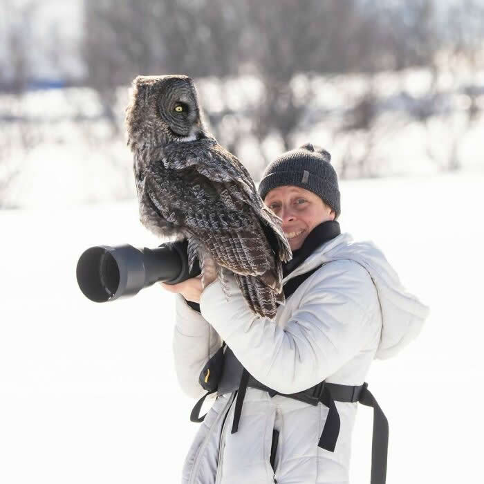 Забавные фотобомбы с животными, которые удивили фотографов дикой природы