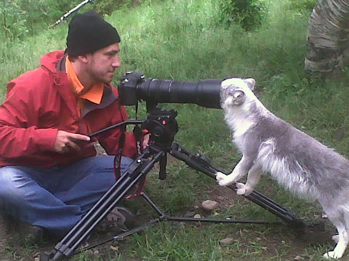 Забавные фотобомбы с животными, которые удивили фотографов дикой природы