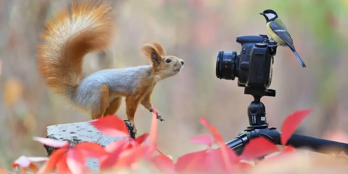 22 Funny Animal Photobombs That Surprised Wildlife Photographers 24 Funny animal pictures