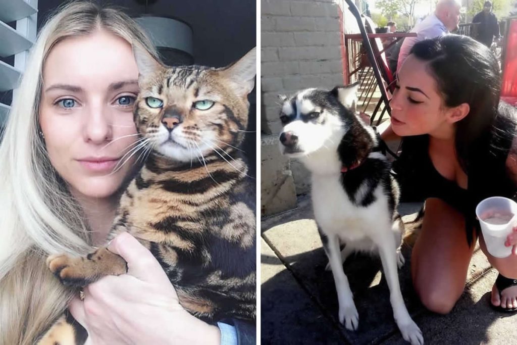 Funny Animal Reactions That Prove They are Not Fans of Selfies