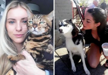 25 Funny Animal Reactions That Prove They’re Not Fans of Selfies