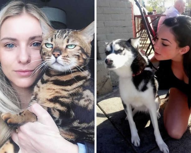 25 Funny Animal Reactions That Prove They’re Not Fans of Selfies