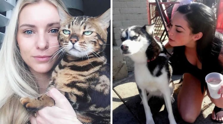 Funny Animal Reactions That Prove They are Not Fans of Selfies