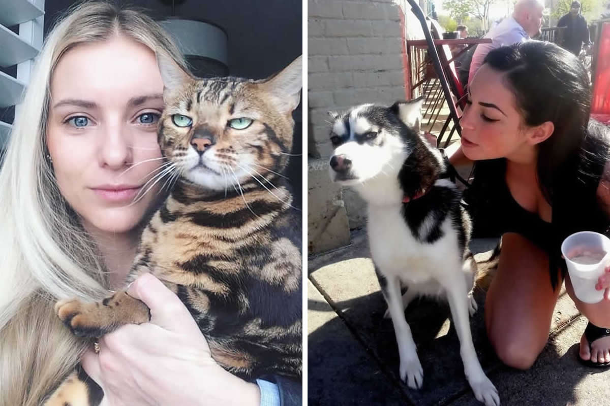 25 Funny Animal Reactions That Prove They’re Not Fans of Selfies