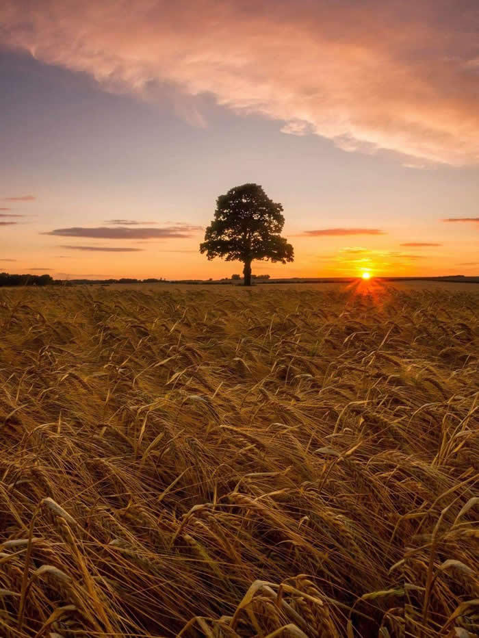 Heartfelt Nature Photos That Remind Us Life Is Full of Cherished Moments