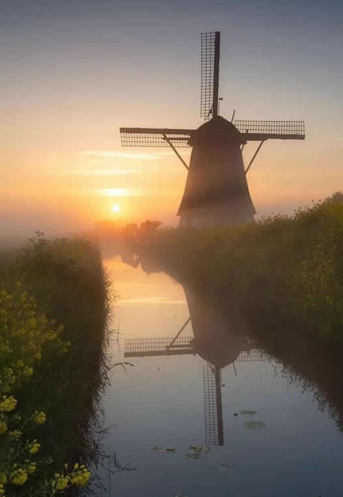 Heartfelt Nature Photos That Remind Us Life Is Full of Cherished Moments