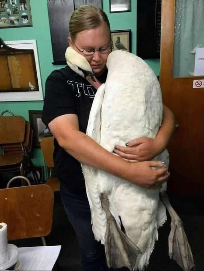 Heartwarming Moments That Will Make You Believe in People Again