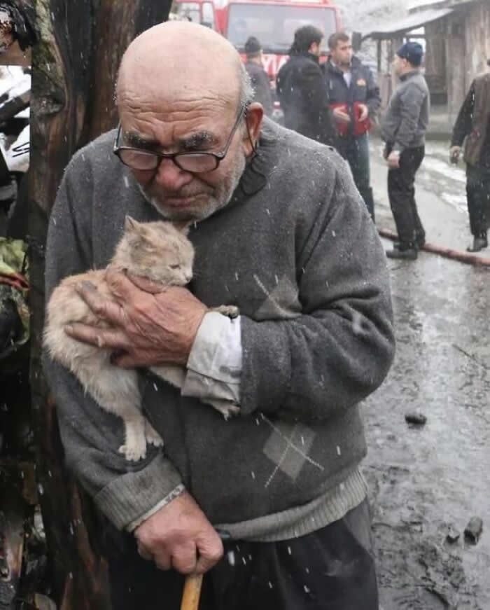 Heartwarming Moments That Will Make You Believe in People Again