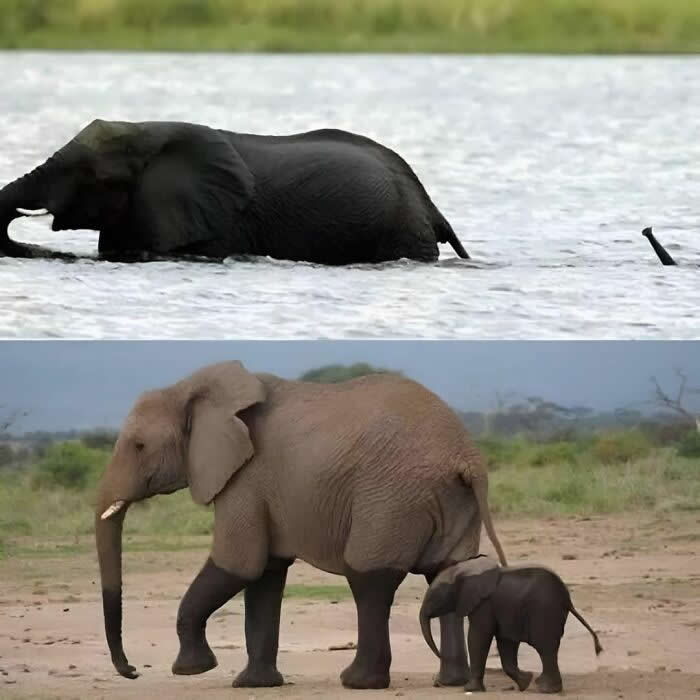 Heartwarming Moments That Will Make You Believe in People Again