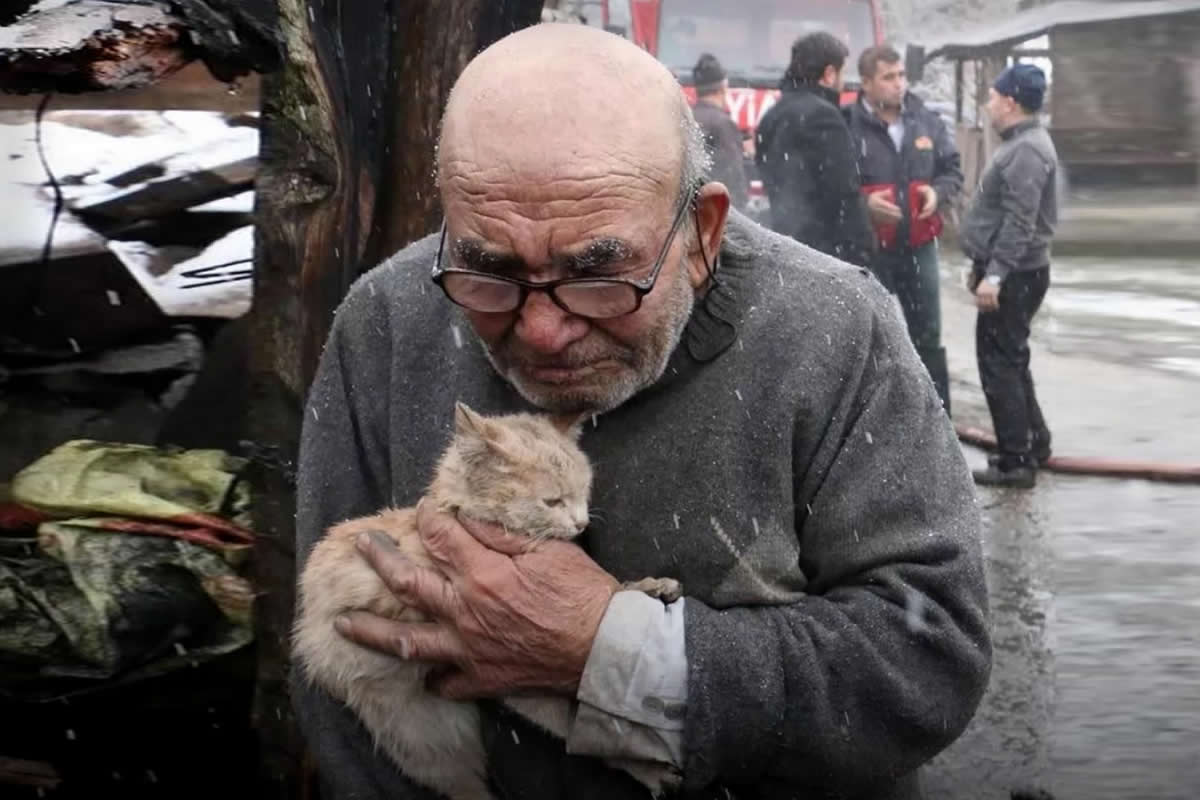 Heartwarming Moments That Will Make You Believe in People Again