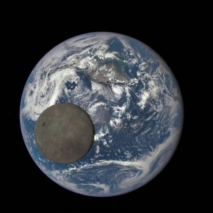 Unique Perspectives That Reveal the Hidden Side of History