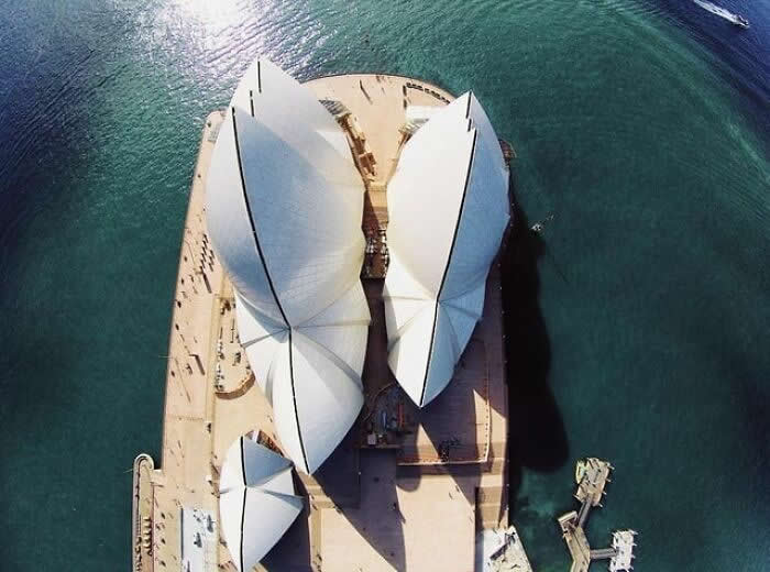 Unique Perspectives That Reveal the Hidden Side of History