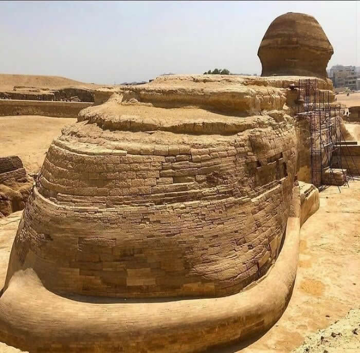 Unique Perspectives That Reveal the Hidden Side of History
