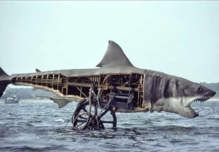 Unique Perspectives That Reveal the Hidden Side of History
