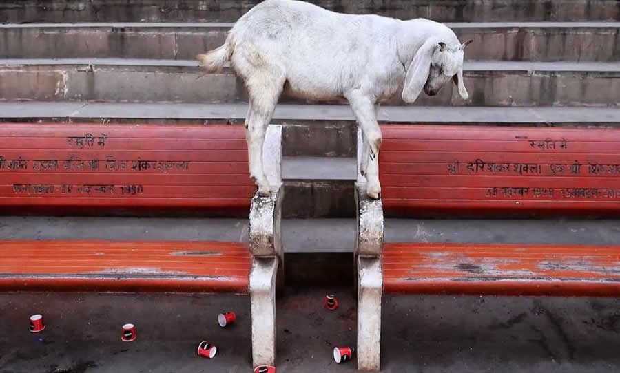 Indian Street Photography by Pranay Pariyar