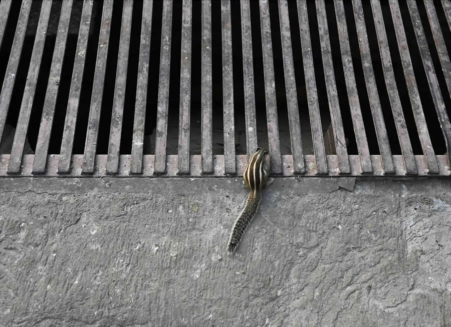 Indian Street Photography by Pranay Pariyar