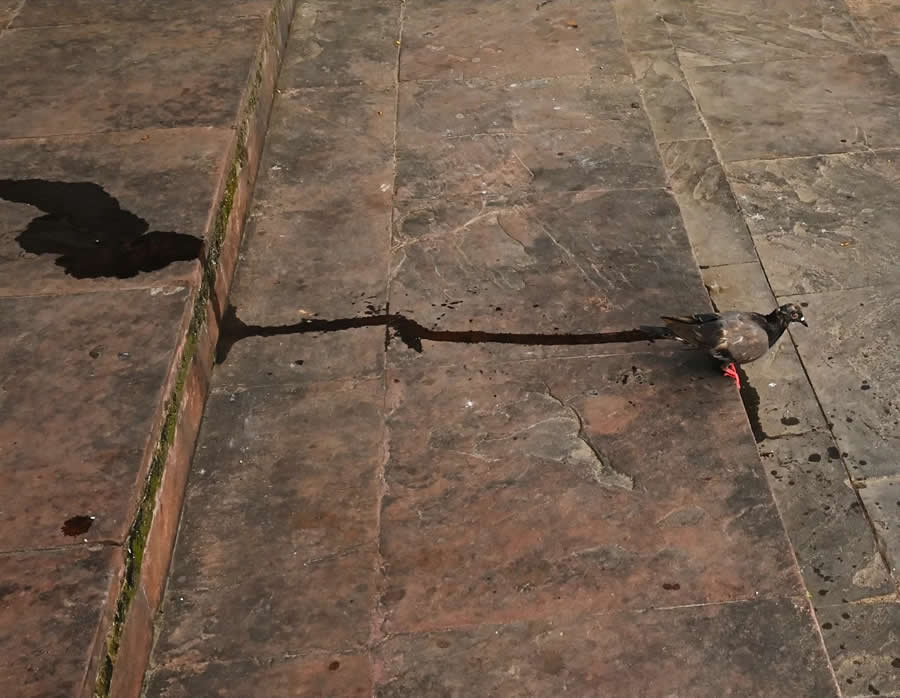 Indian Street Photography by Pranay Pariyar
