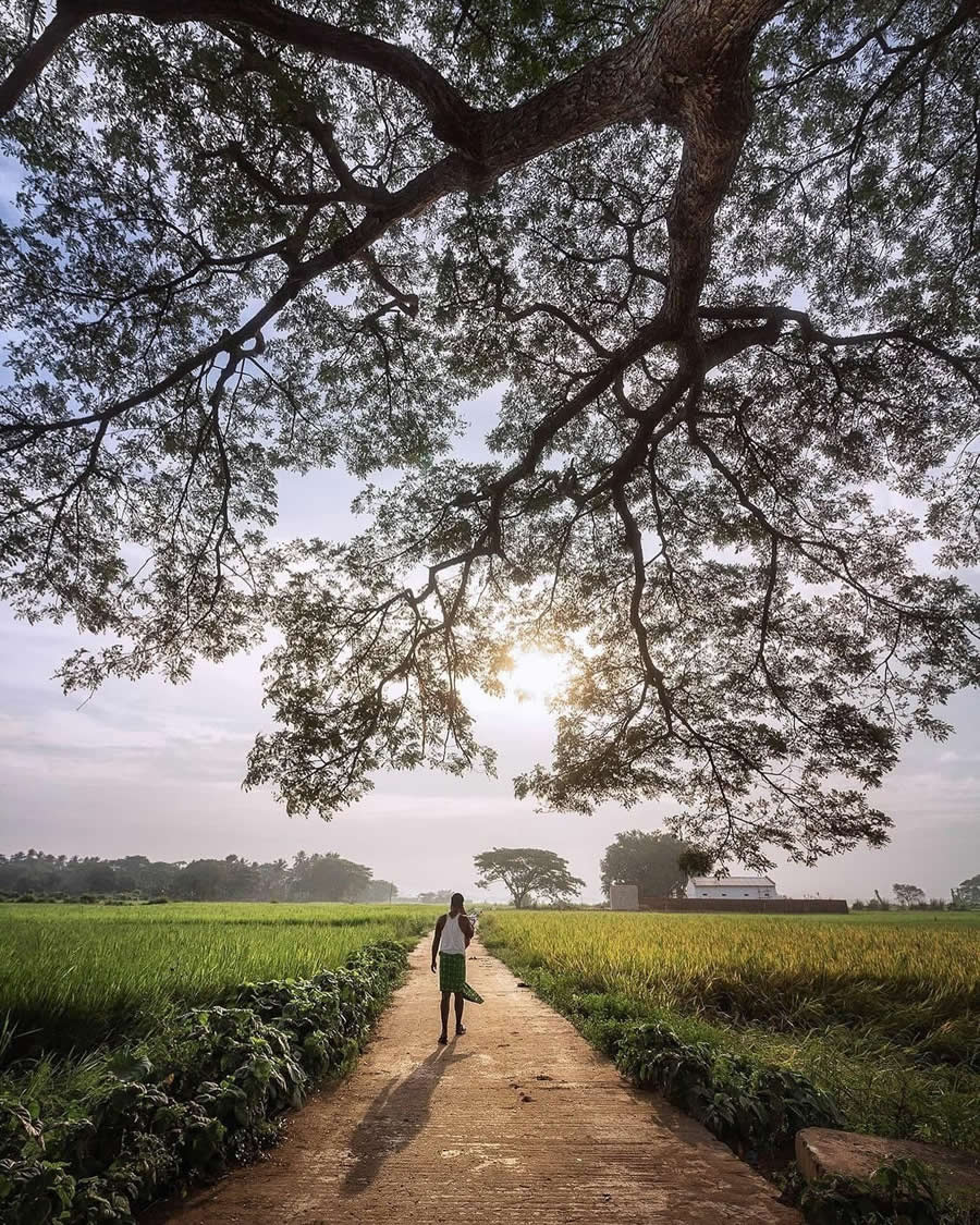 Indian Street and Travel Photography by DK Pattnayak