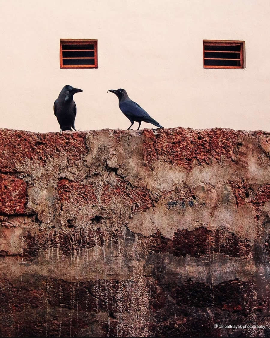 Indian Street and Travel Photography by DK Pattnayak