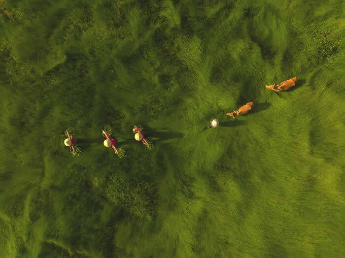 2025 International Aerial Photo Awards Winners