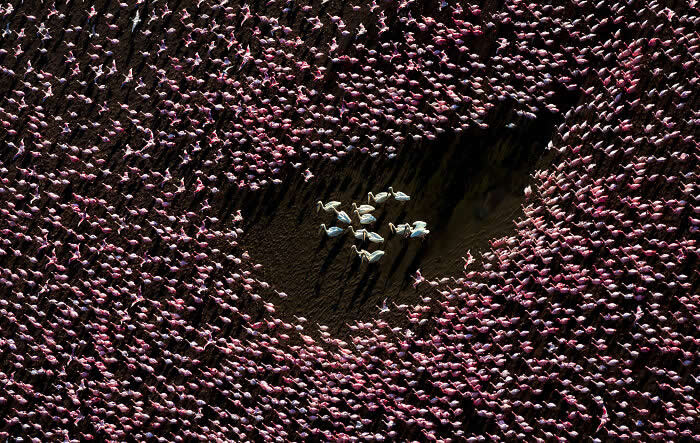 2025 International Aerial Photo Awards Winners