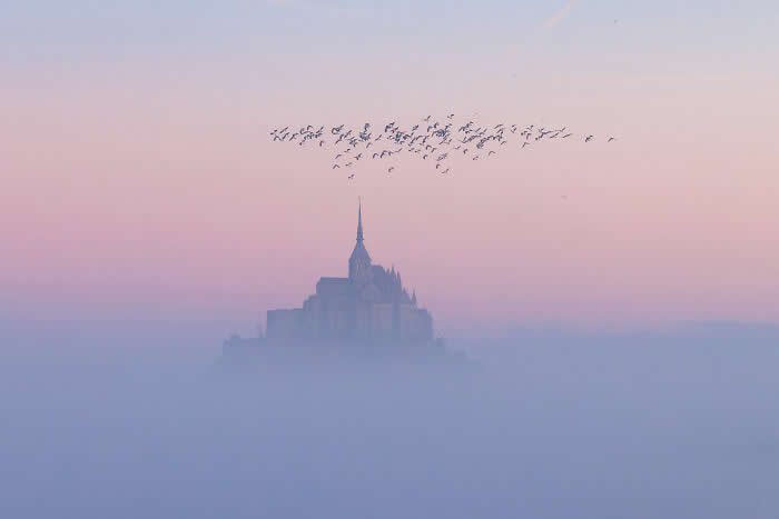 2025 International Aerial Photo Awards Winners